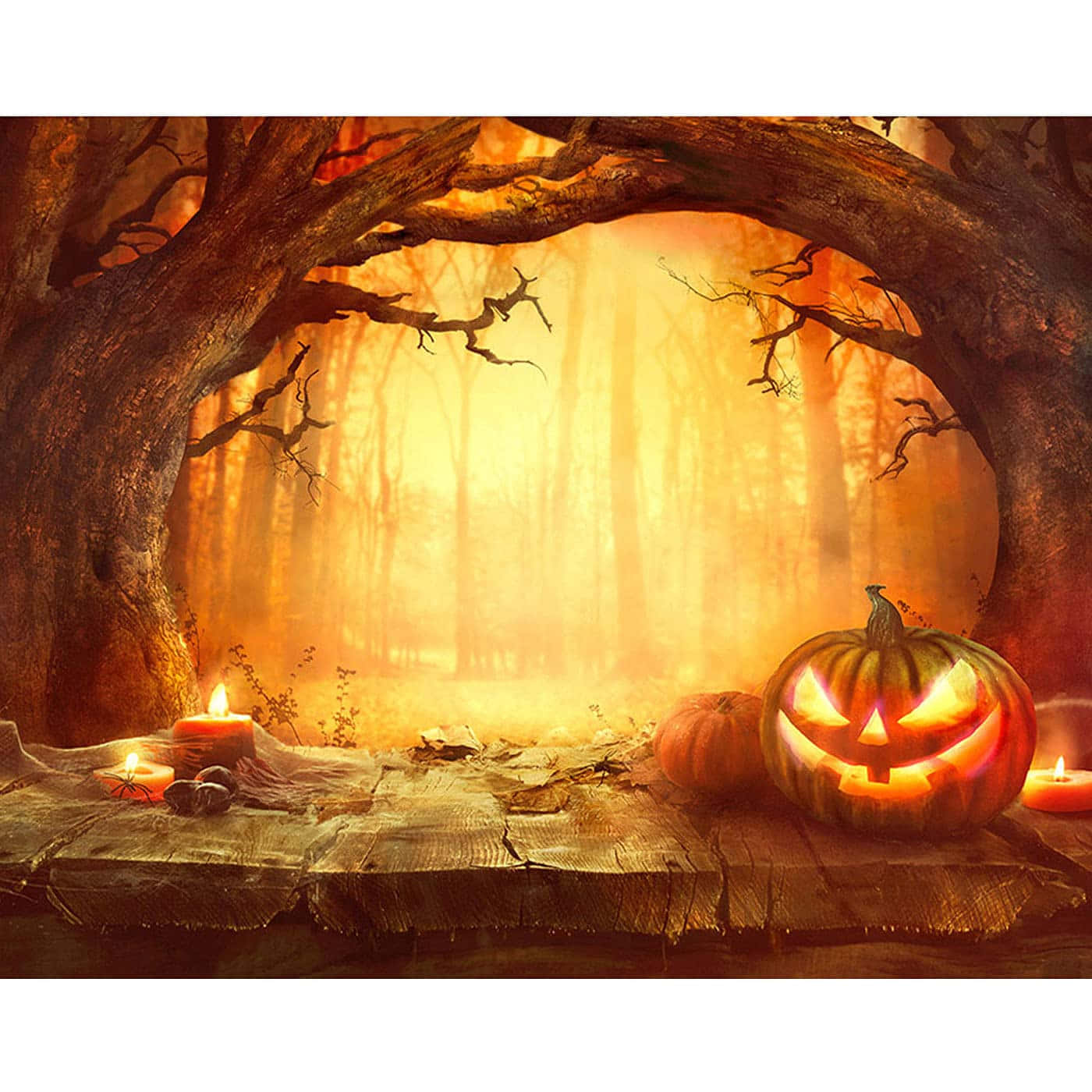 Halloweenpumpor I Bakgrunden Skrämmande Träd