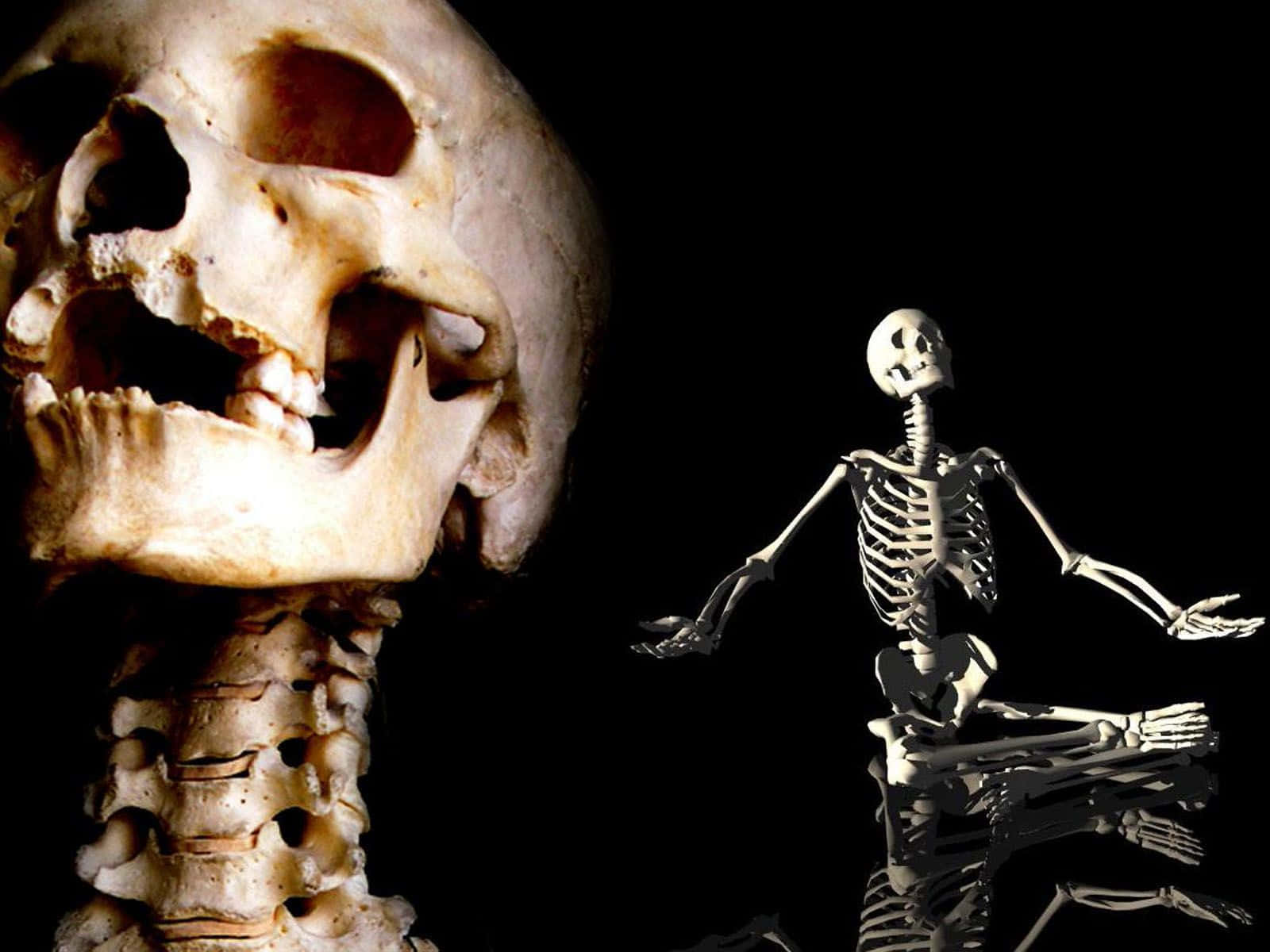 Esqueletode Halloween Relajado. Fondo de pantalla