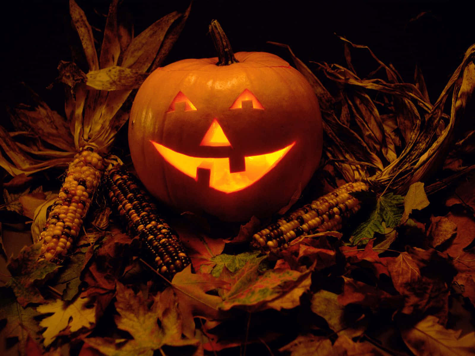Halloween Teams Background Leaves Corns