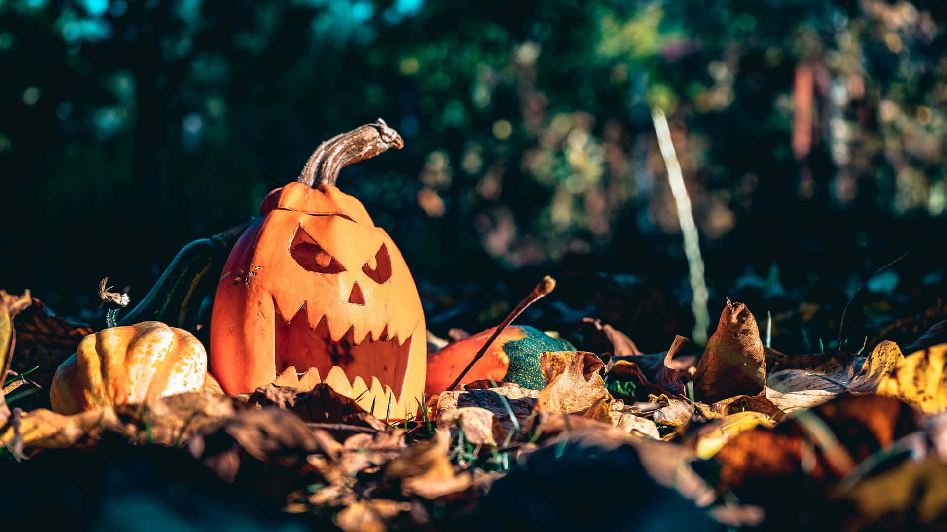 Halloween Teams Background Leaves Pumpkin