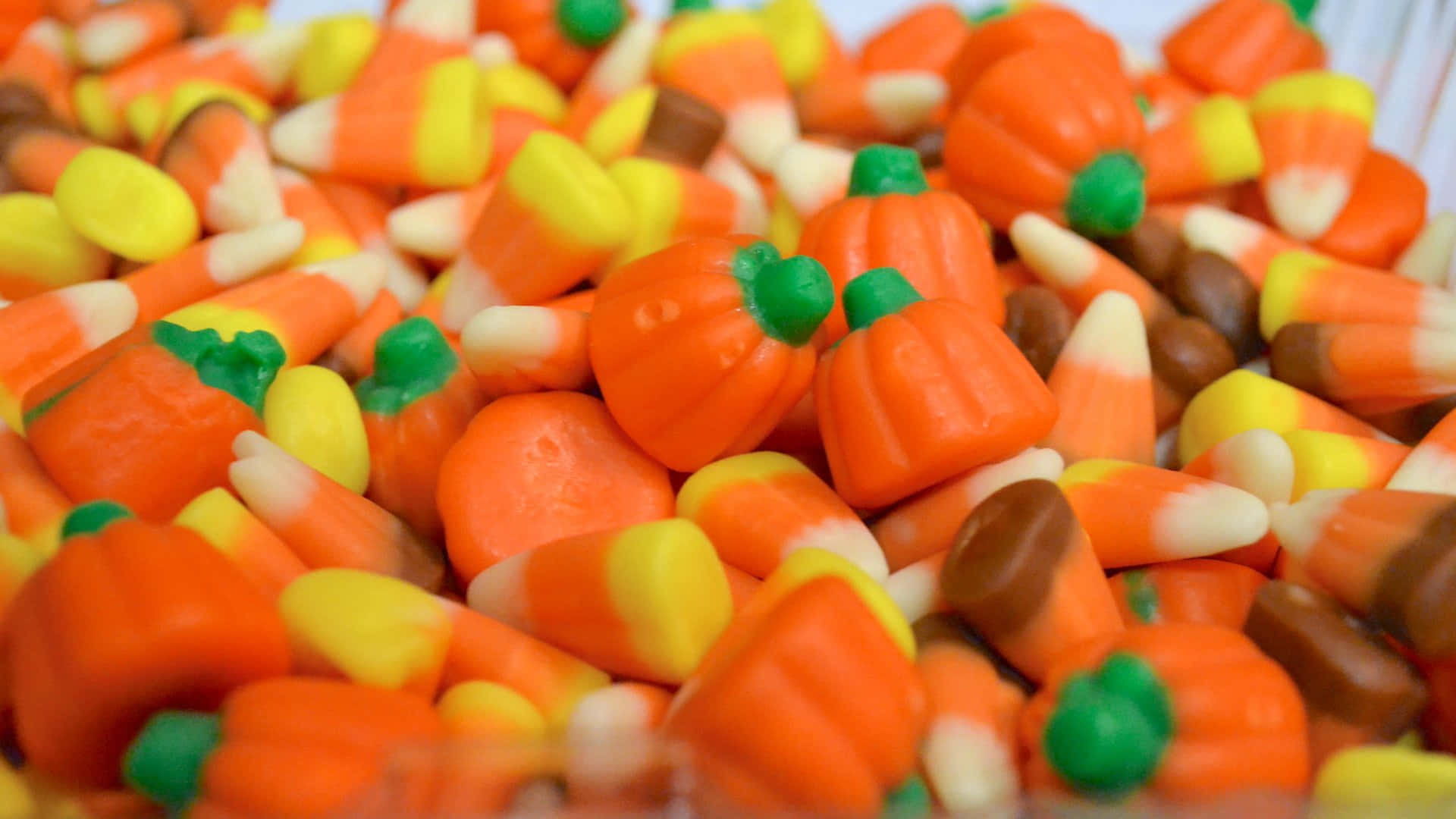 Try Delicious Halloween Treats to Trick or Treat! Wallpaper