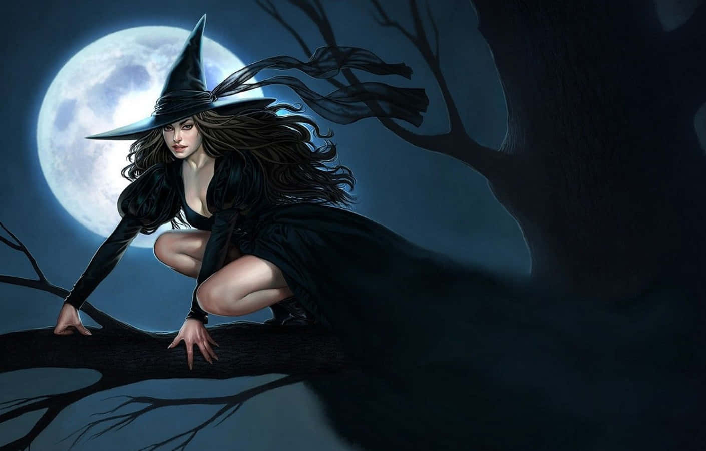 Full Moon Halloween Witch On Tree Wallpaper