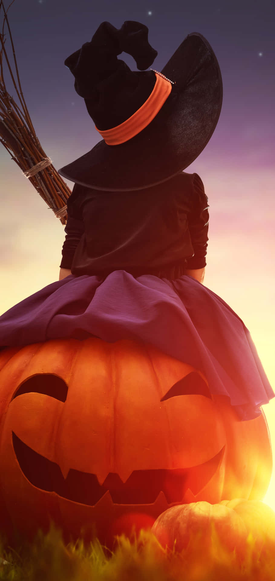 Halloween Witch Pumpkin Sunset Wallpaper