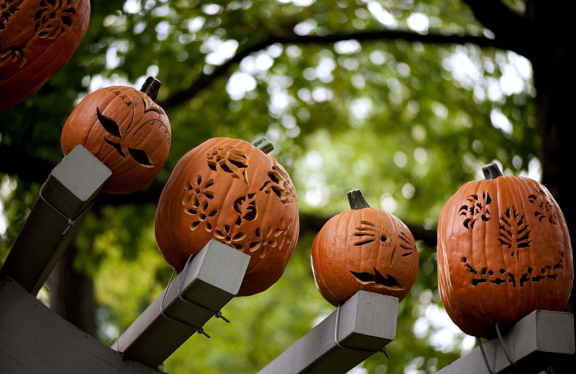 Spook up Your Yard with Fun and Spooky Halloween Decorations Wallpaper