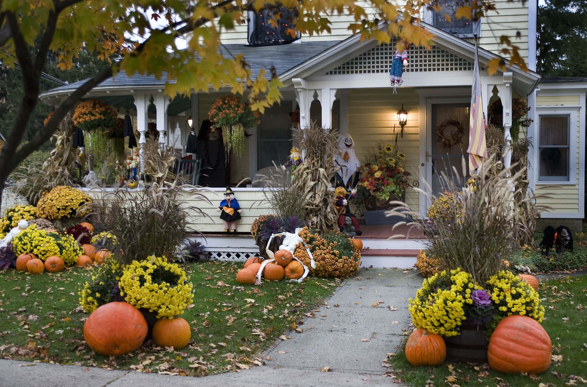 Transform your front yard into a scare-filled experience with festive Halloween yard decorations. Wallpaper