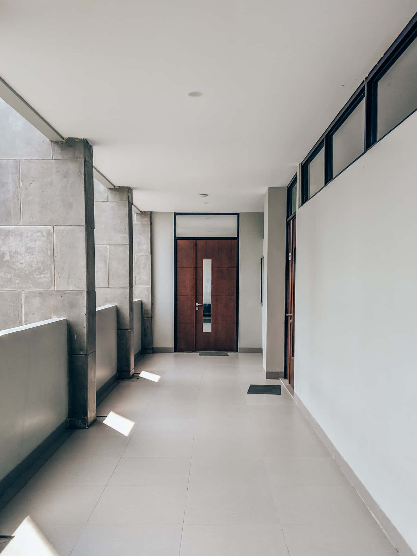 Modern hallway design with wood walls