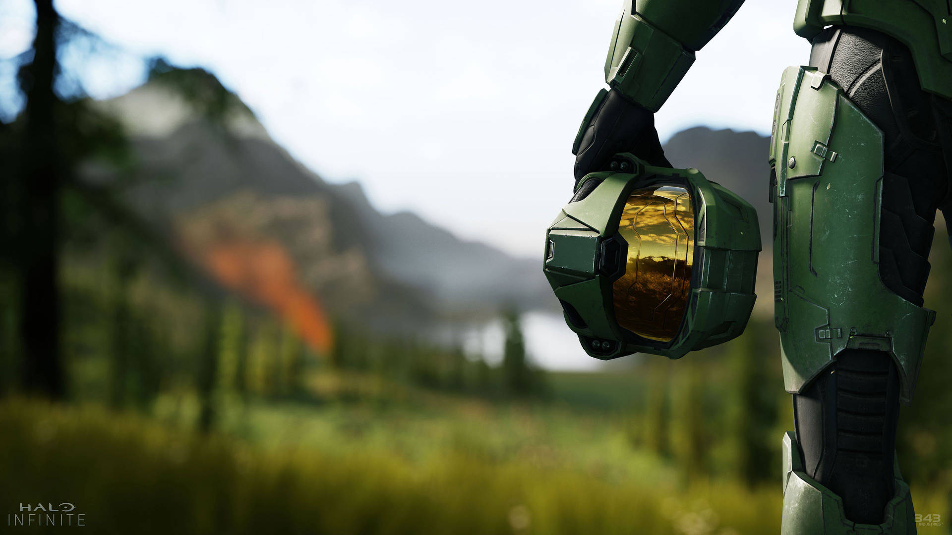 Halo Infinite 4k Forest