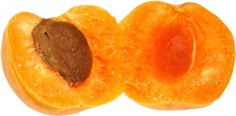 Halved Apricotwith Seed PNG