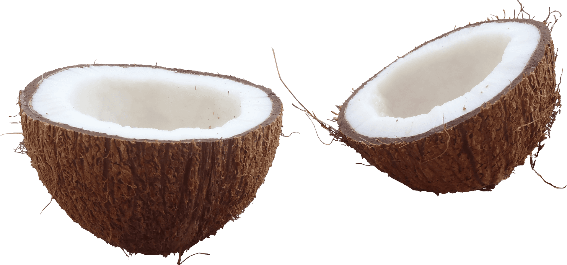 Halved Coconut Fresh White Meat PNG