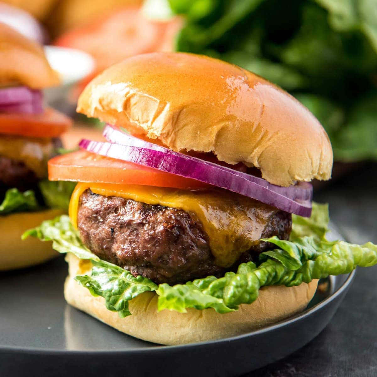 Tasty Hamburger: A Delicious Treat for Your Summer Barbeque