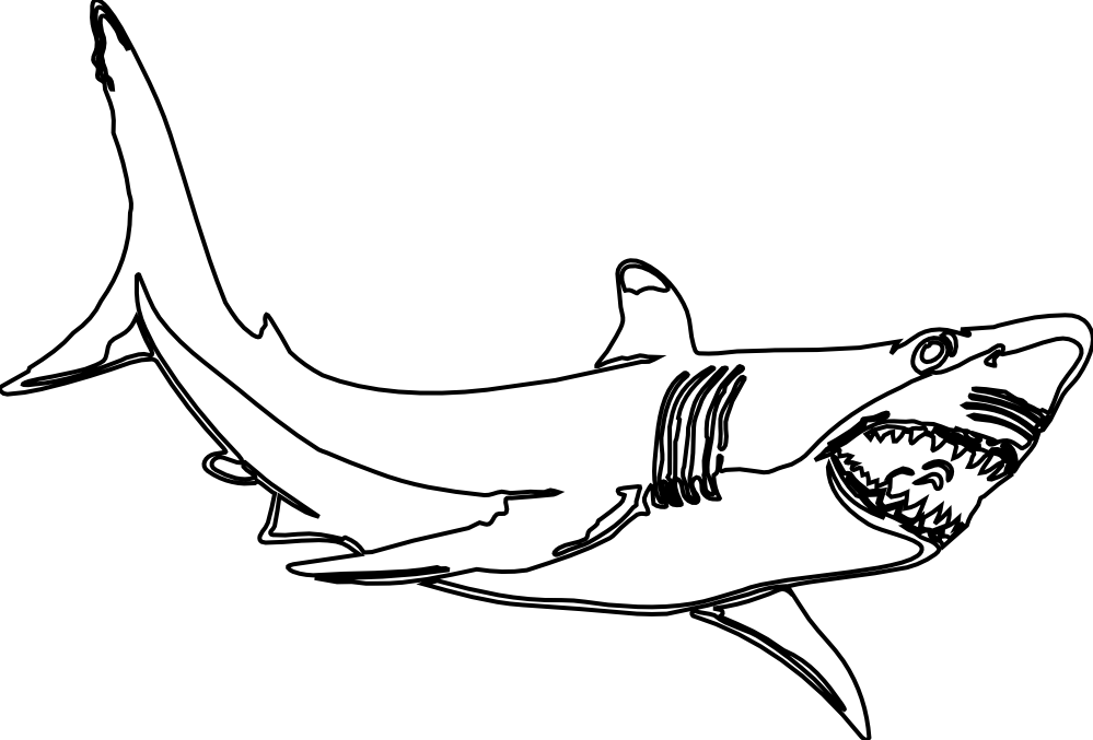 Hammerhead Shark Illustration PNG