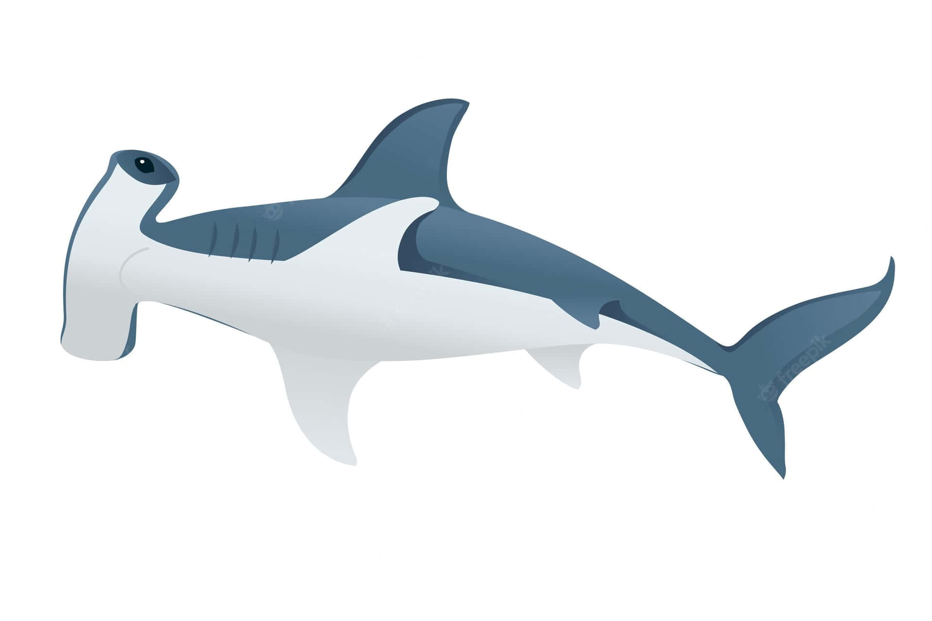 A Cartoon Shark With A Long Beak Wallpaper