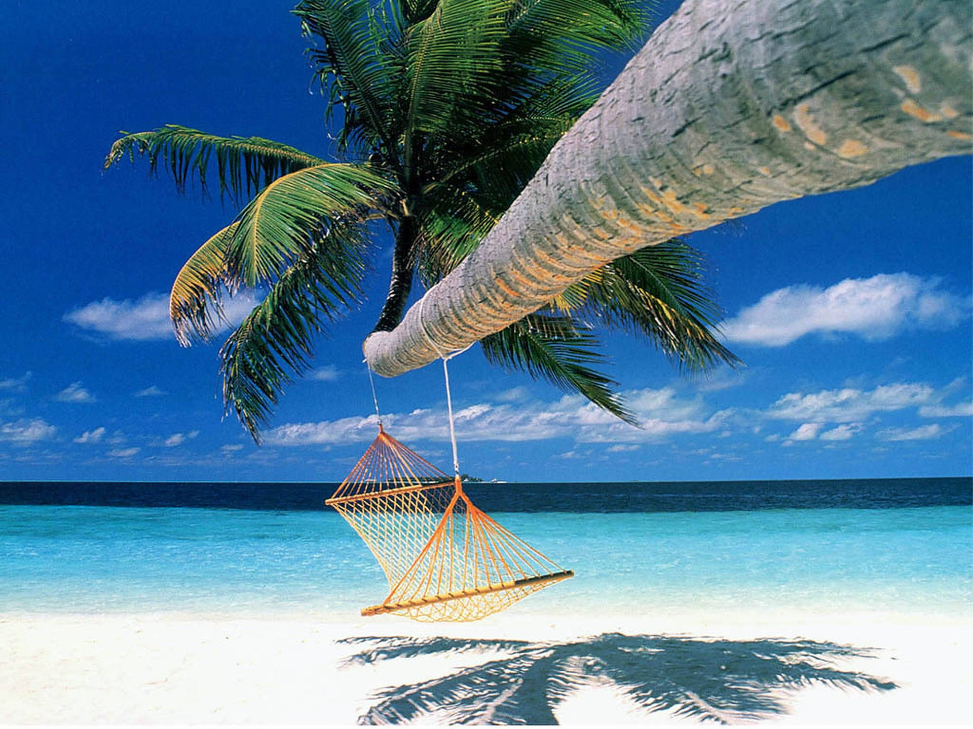 Hammock For Beach Vacation Picture