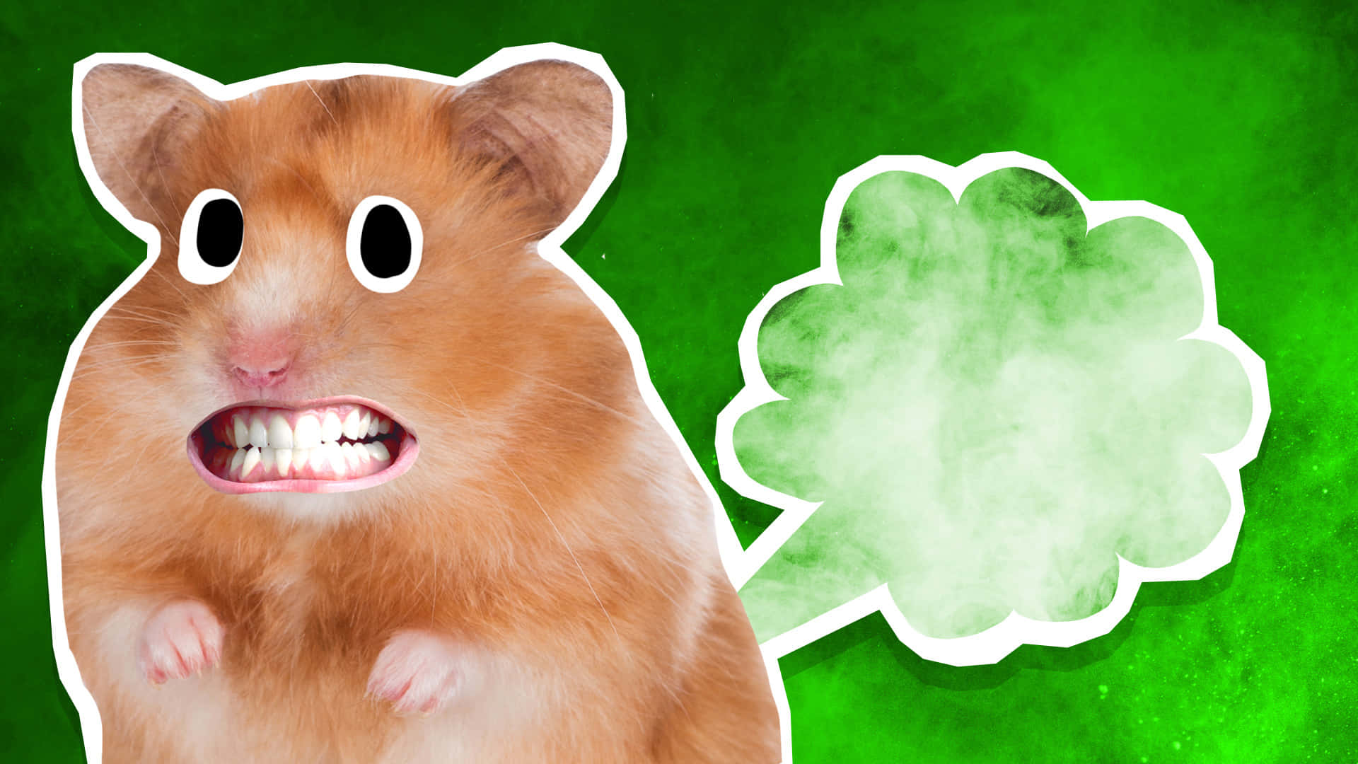 Hamster Scheet Cartoon Illustratie Achtergrond