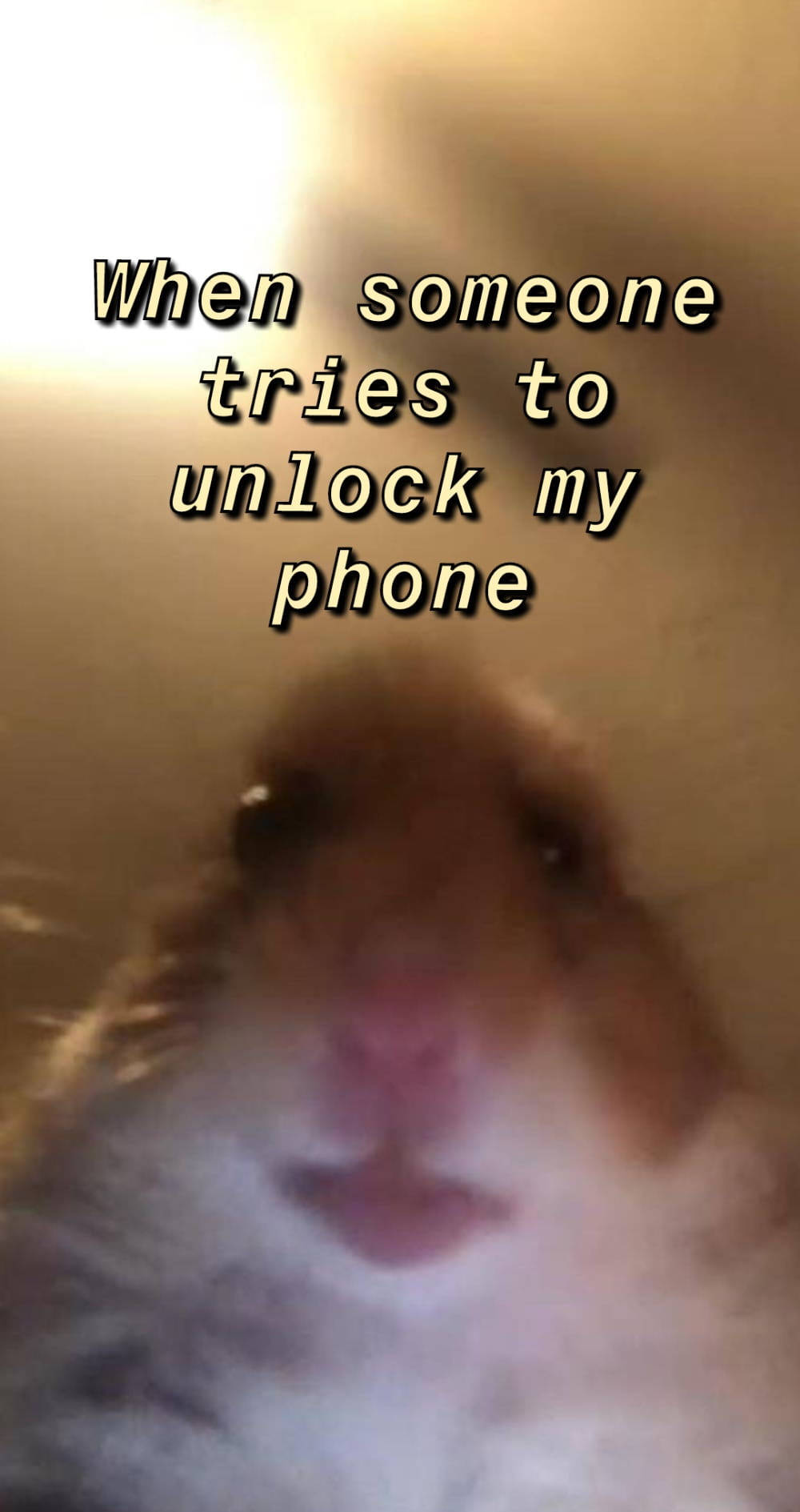 Hamster Funny Get Off My Phone