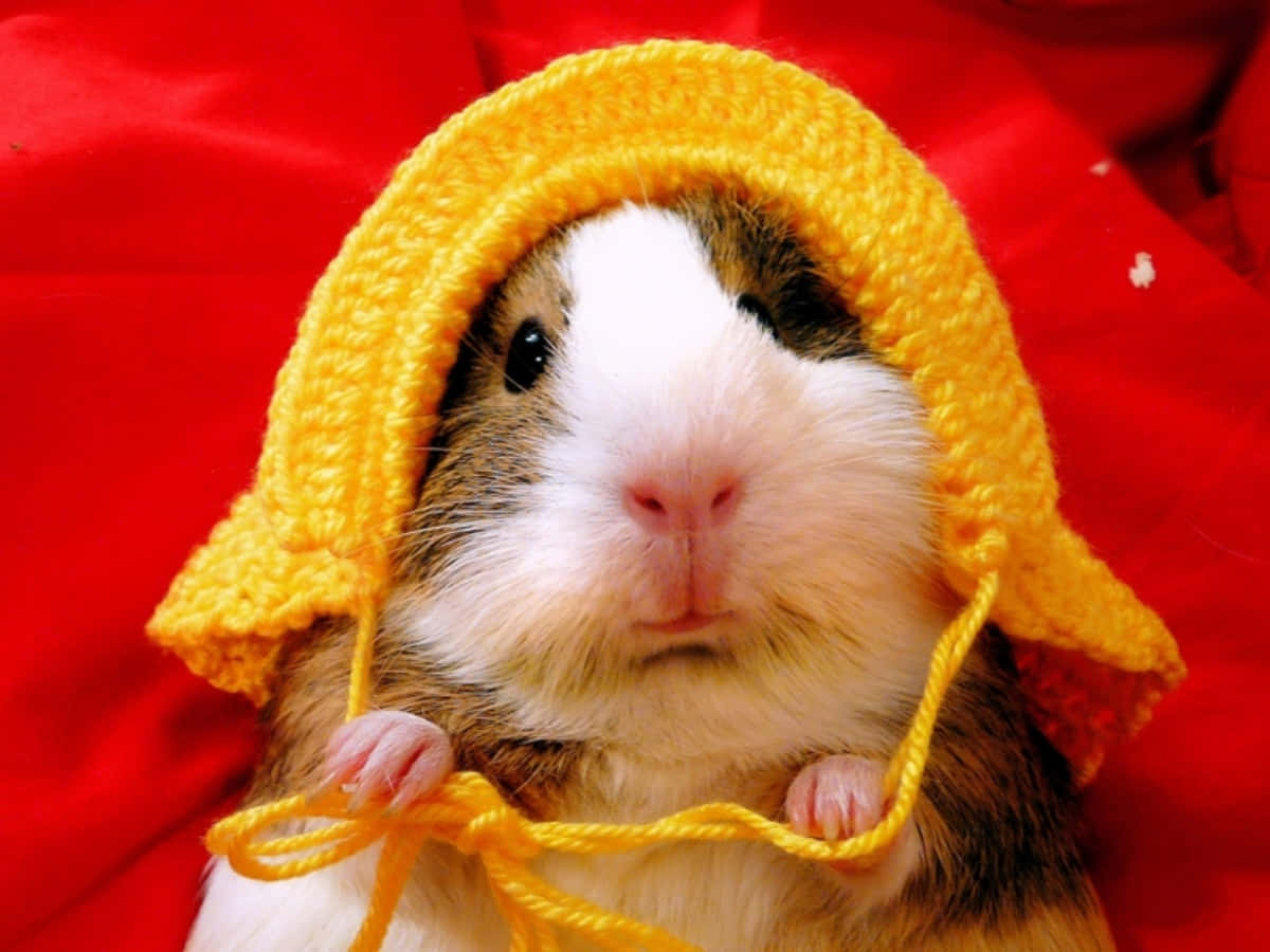 An adorable, cartoonish hamster enjoying a delicious snack!
