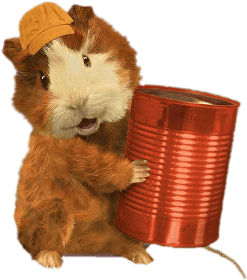 Hamster With Can And Cap.png PNG