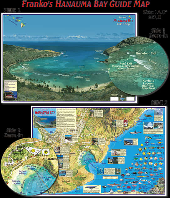 Hanauma Bay Guide Map PNG