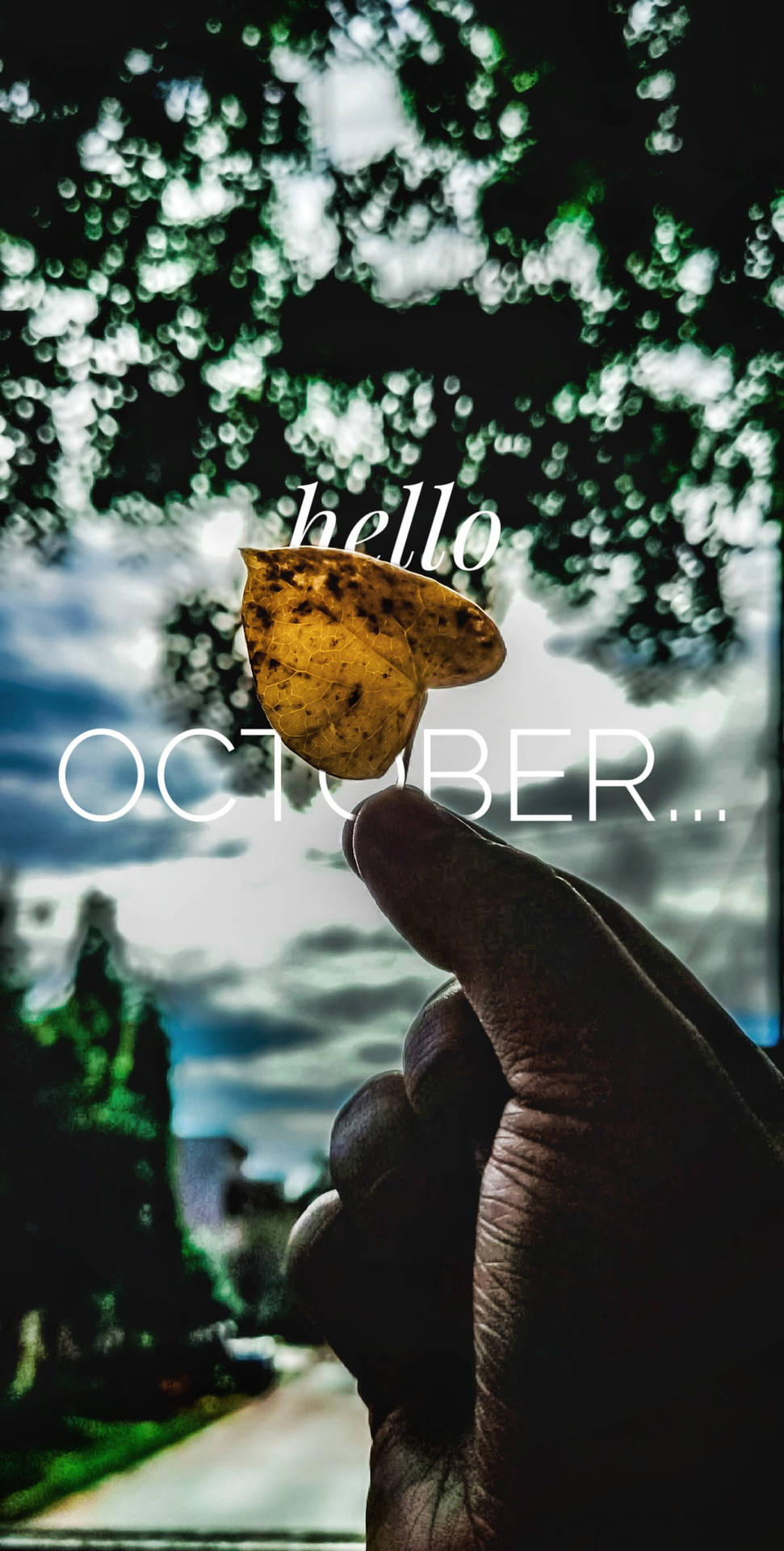 Hand And Leaf Silhouette Hello October Wallpaper