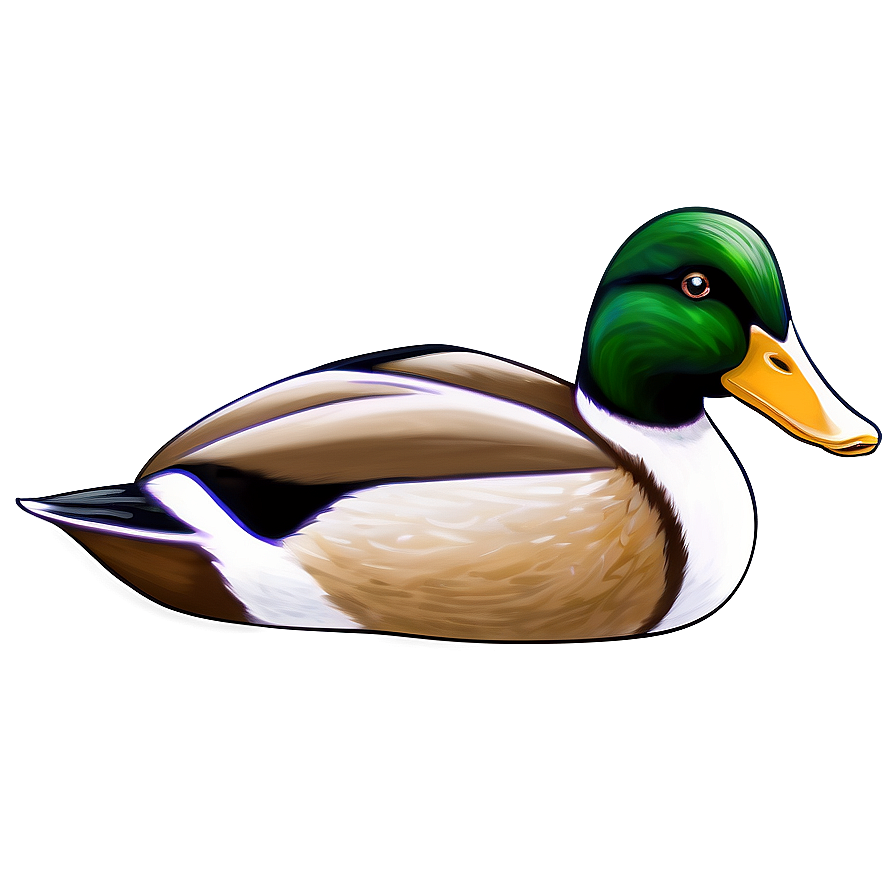 Hand Drawn Duck Sketch Png 9 PNG