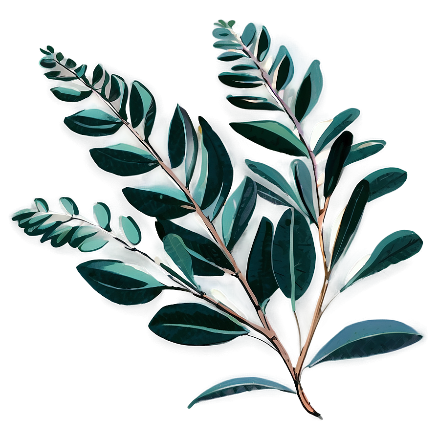 Hand Drawn Eucalyptus Png Vry34 PNG