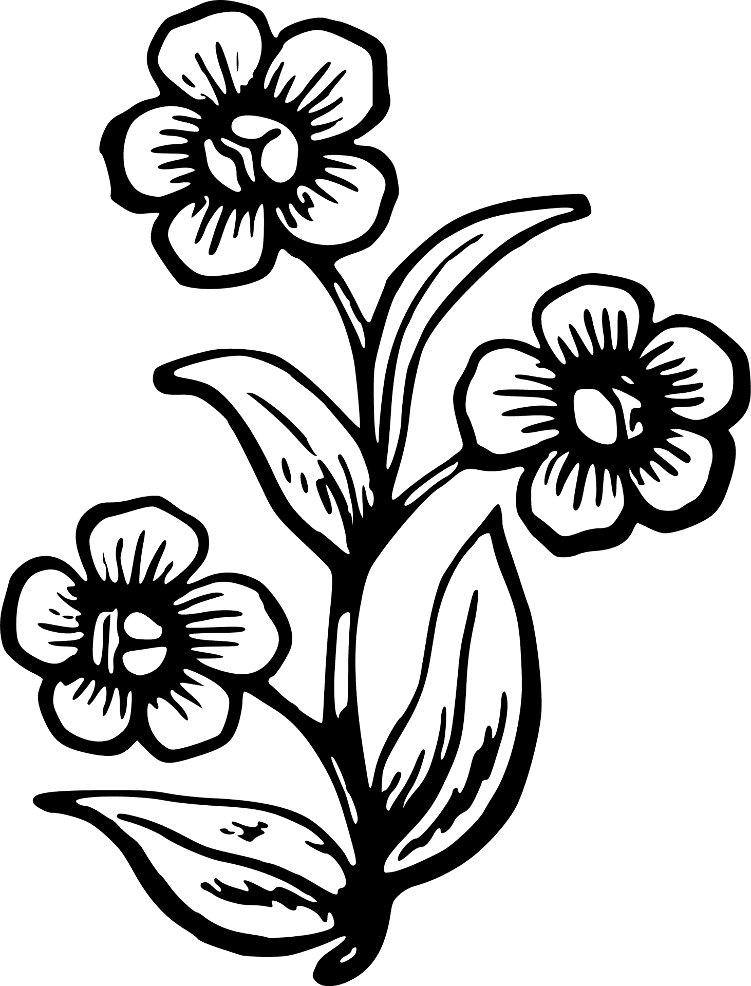 Hand Drawn Floral Illustration PNG