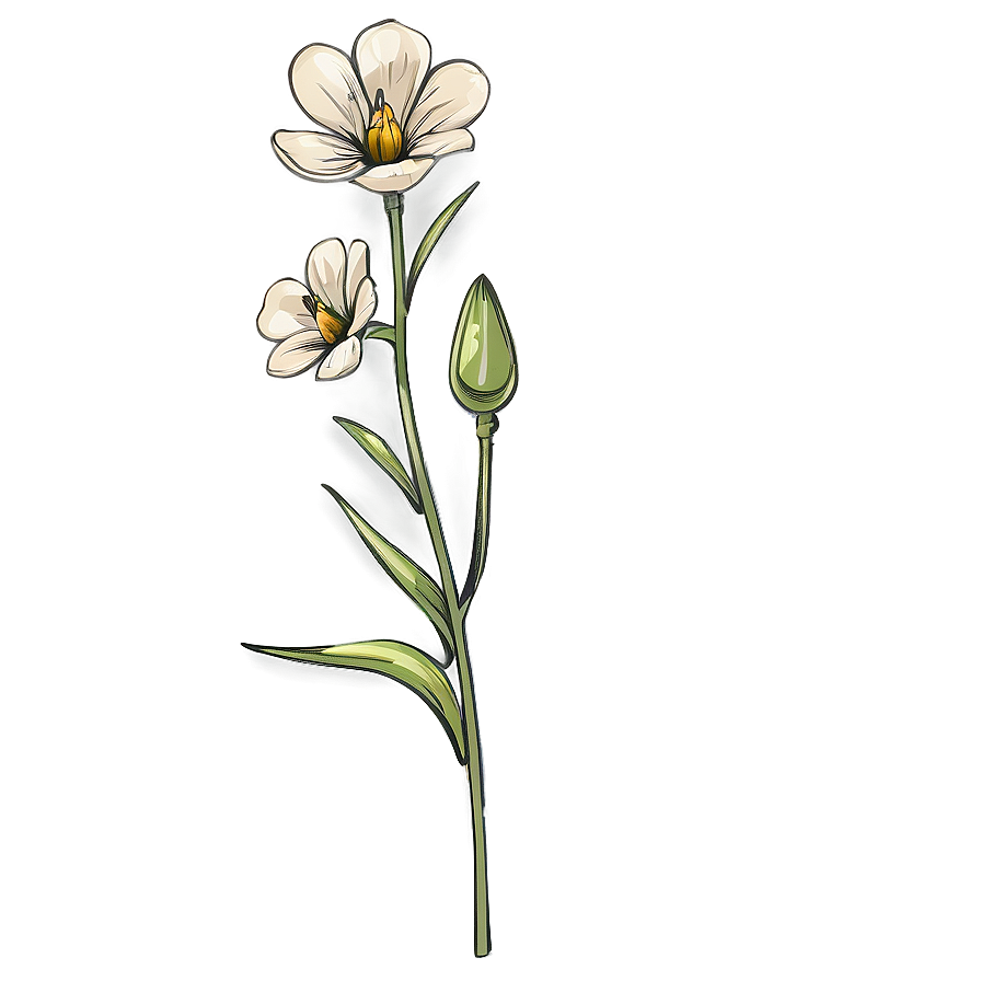 Hand Drawn Flower Stem Png 3 PNG