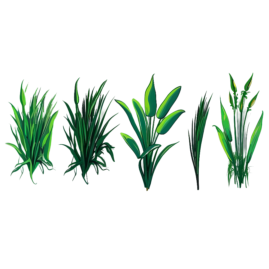 Hand Drawn Grass Clipart Png Evu35 PNG