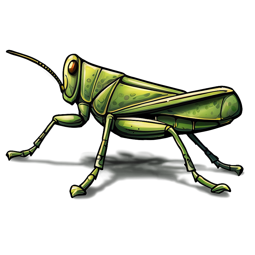 Hand Drawn Grasshopper Png 06122024 PNG