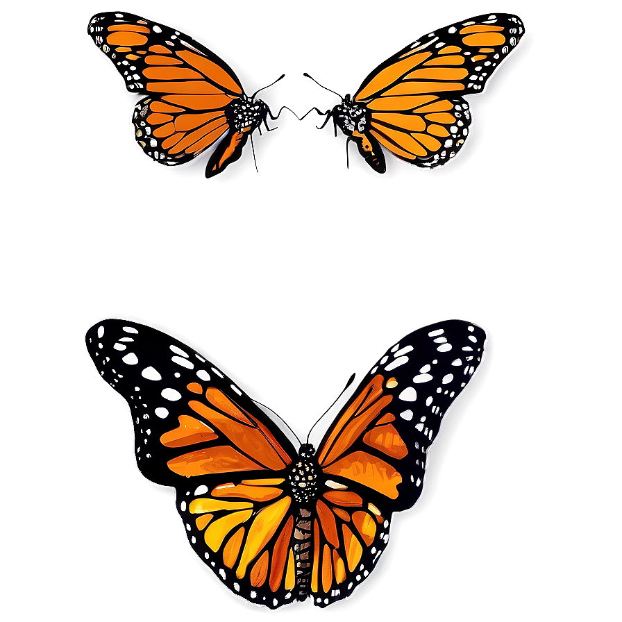 Hand Drawn Monarch Butterflies Png 17 PNG