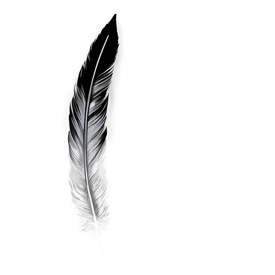 Hand-drawn Mono Feather Png 06242024 PNG