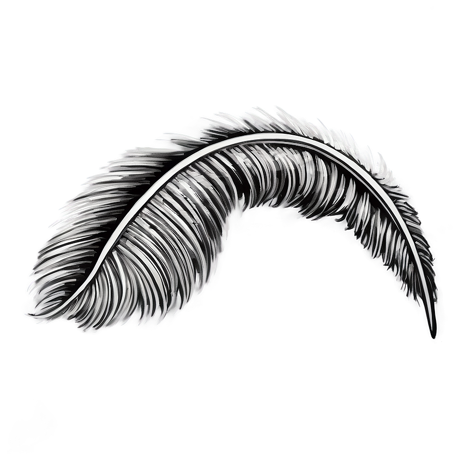 Hand-drawn Mono Feather Png Huf PNG