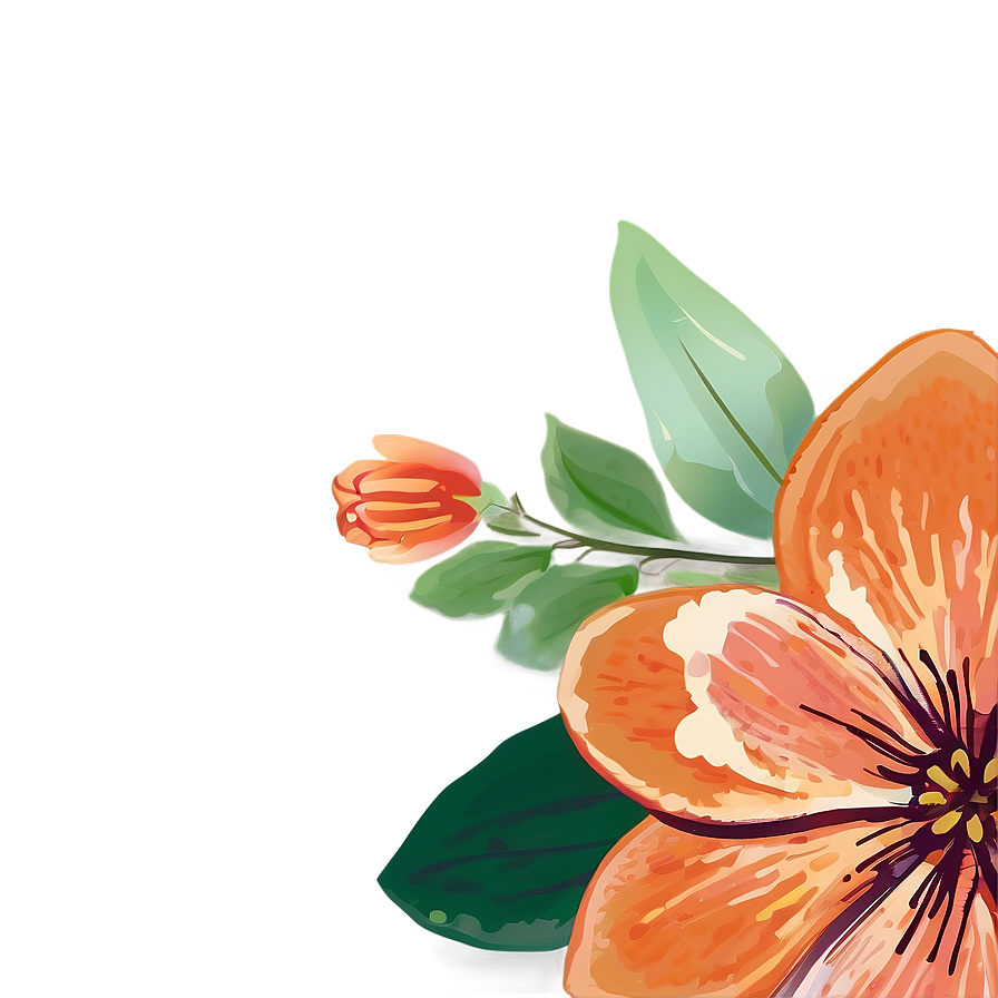 Hand-drawn Orange Floral Png Evn30 PNG