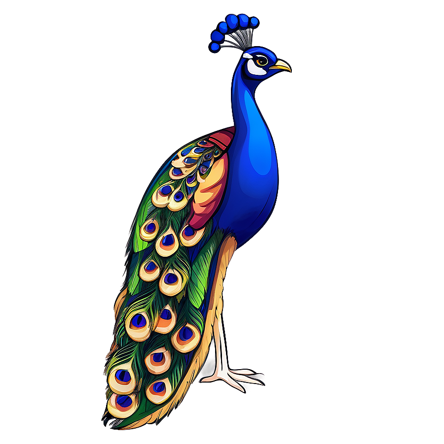 Download Hand Drawn Peacock Png 5 | Wallpapers.com