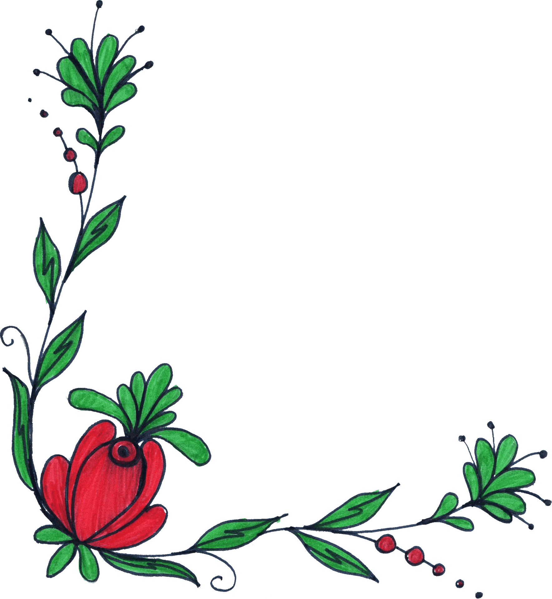 Hand Drawn Red Flowerand Green Leaves PNG