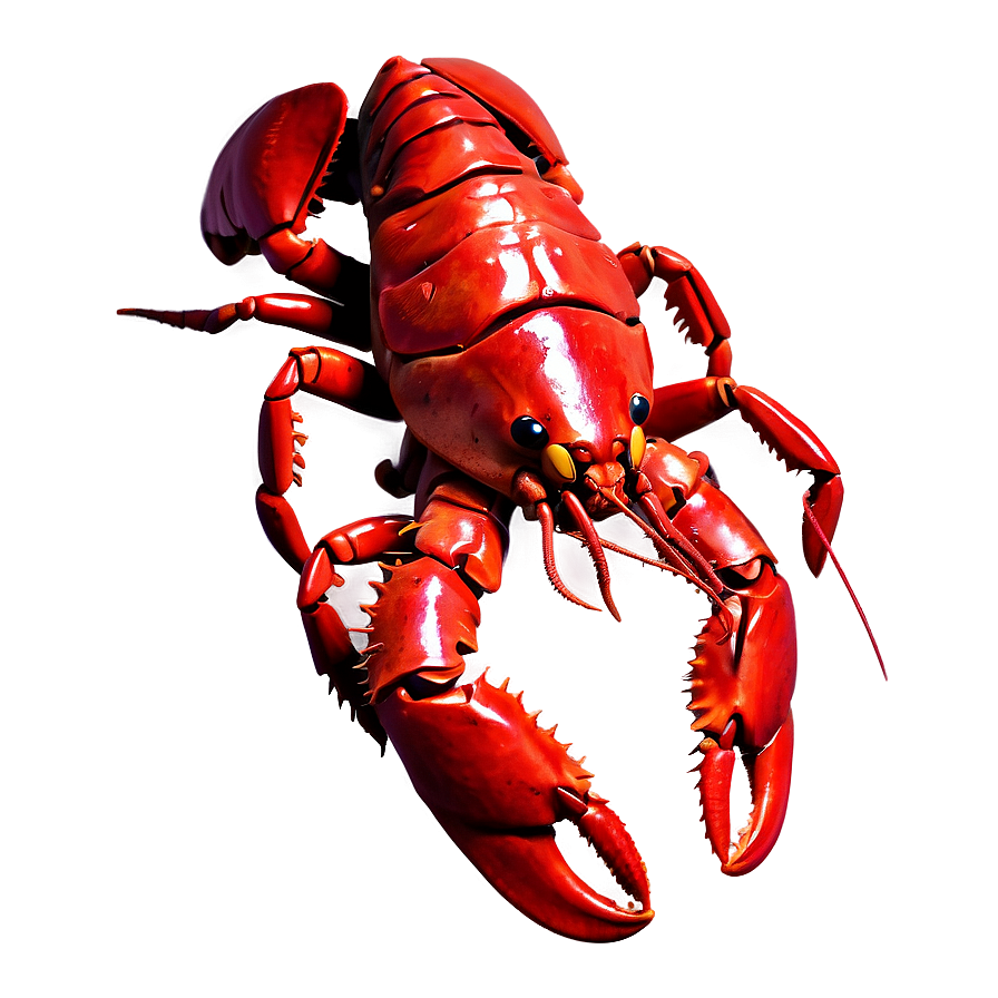 Hand-drawn Red Lobster Png 33 PNG