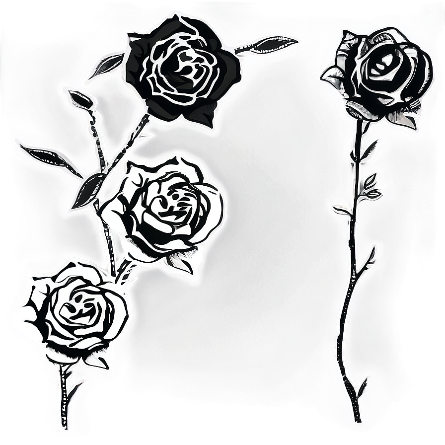 Hand-drawn Rose Black And White Png Qql PNG