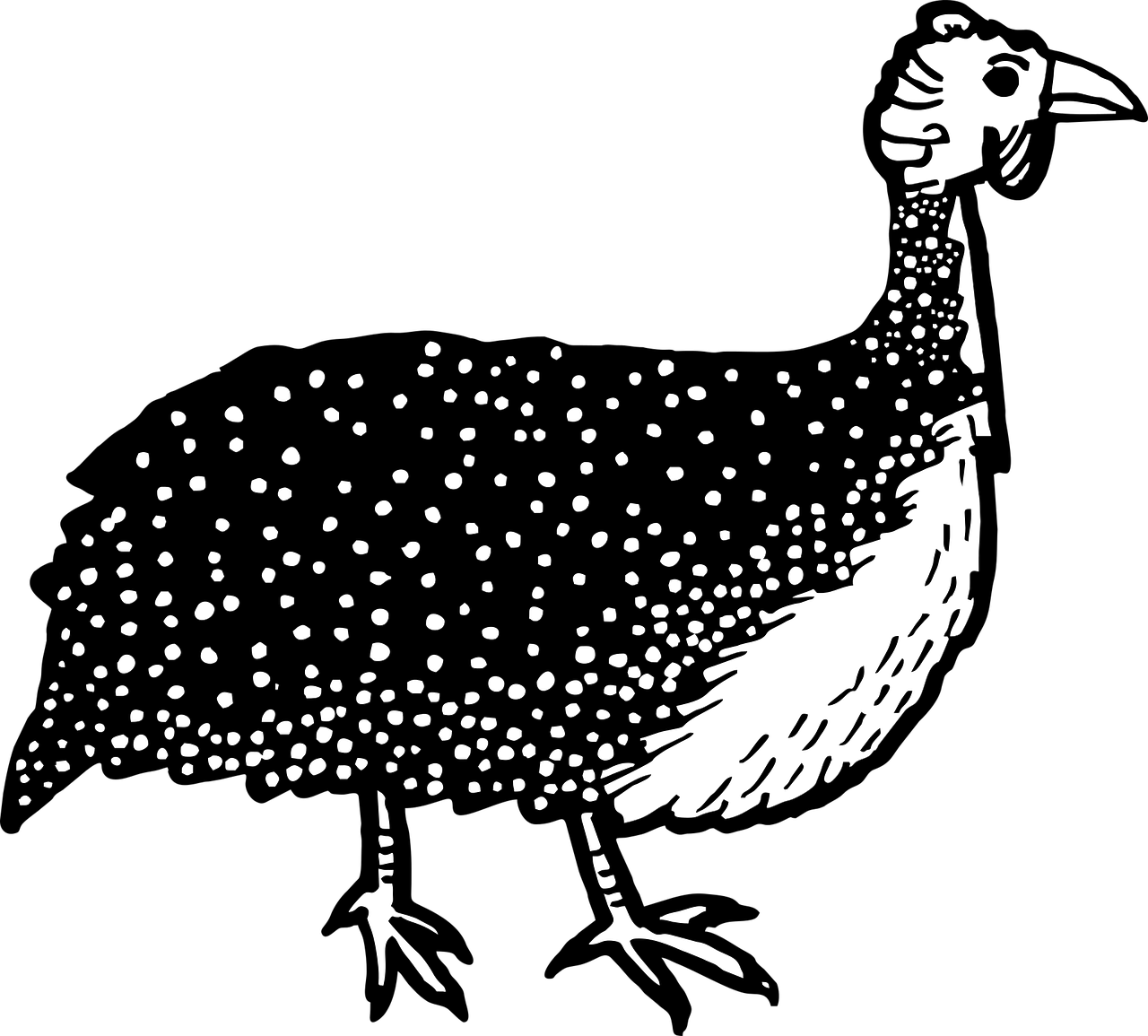 Hand Drawn Spotted Black Bird PNG