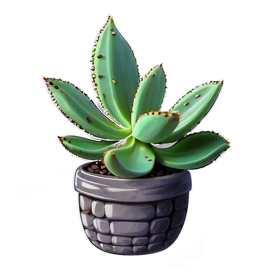 Download Hand Drawn Succulent Png Hfm