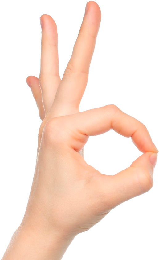 Hand Gesture O K Sign.png PNG