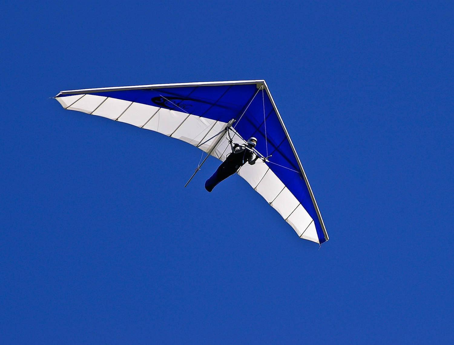 Flyvende blå og hvid luft-glider Wallpaper