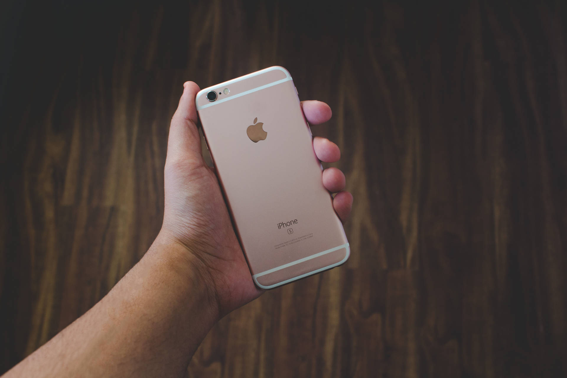 Hand Holding Rose Gold Iphone 6