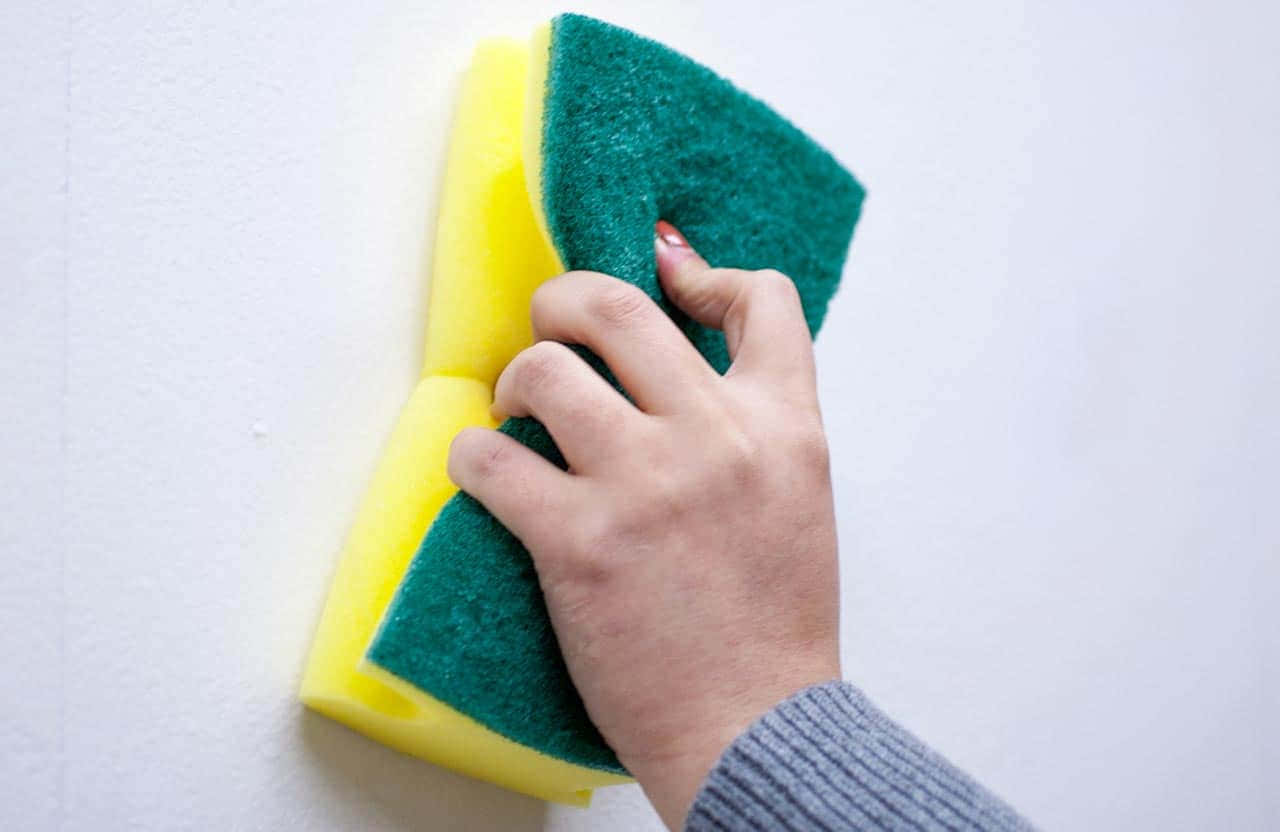 Hand Holding Yellow Green Sponge Wallpaper