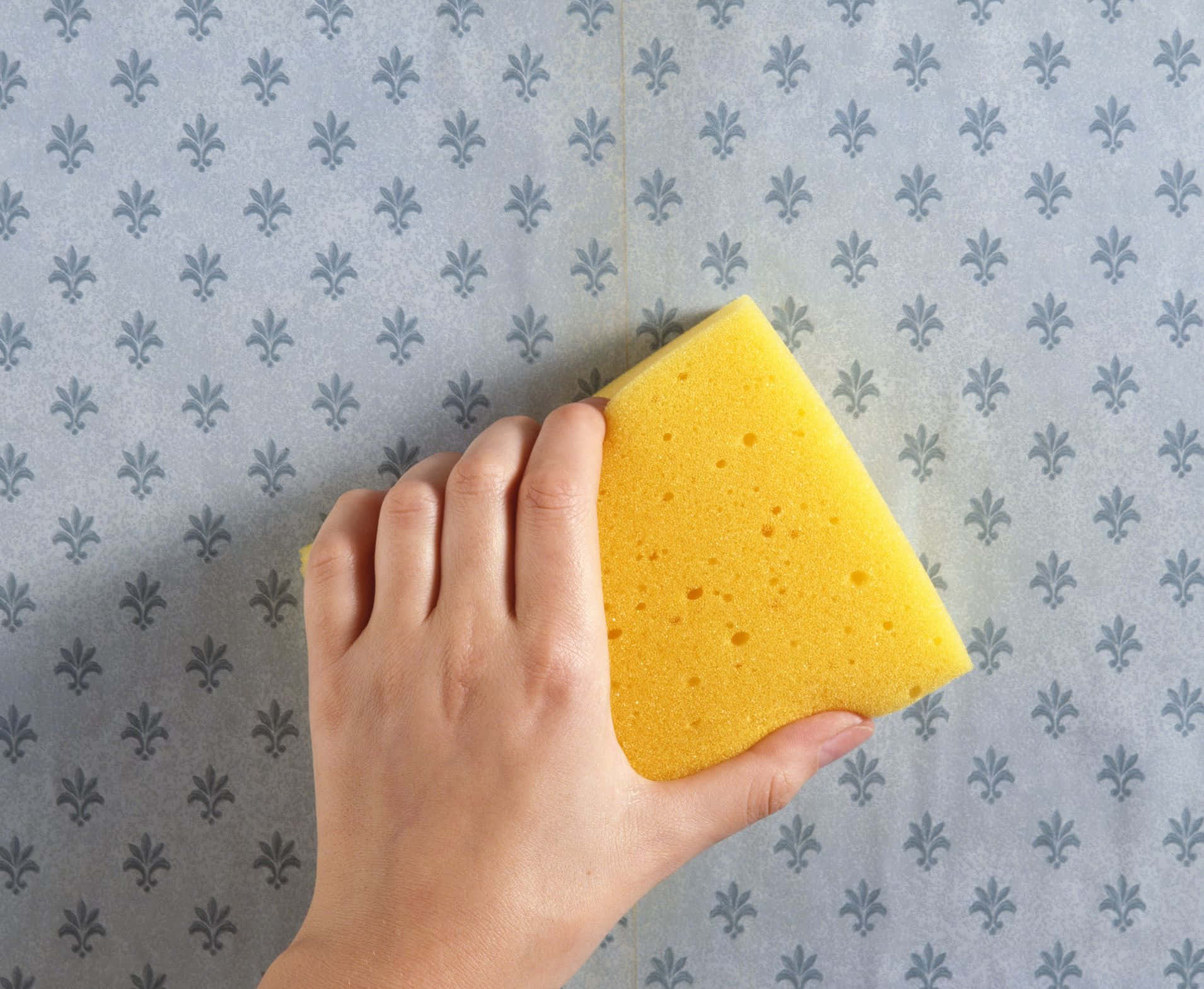 Hand Holding Yellow Sponge Cleaning Wallpaper