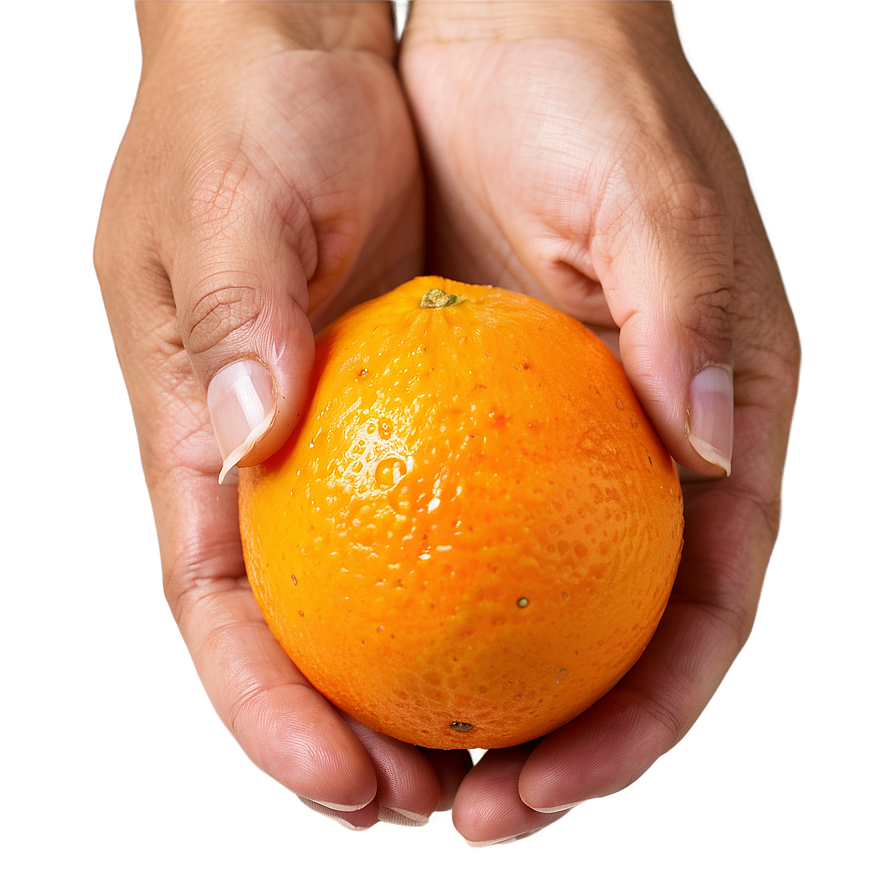 Hand-picked Orange Fruit Png 05032024 PNG