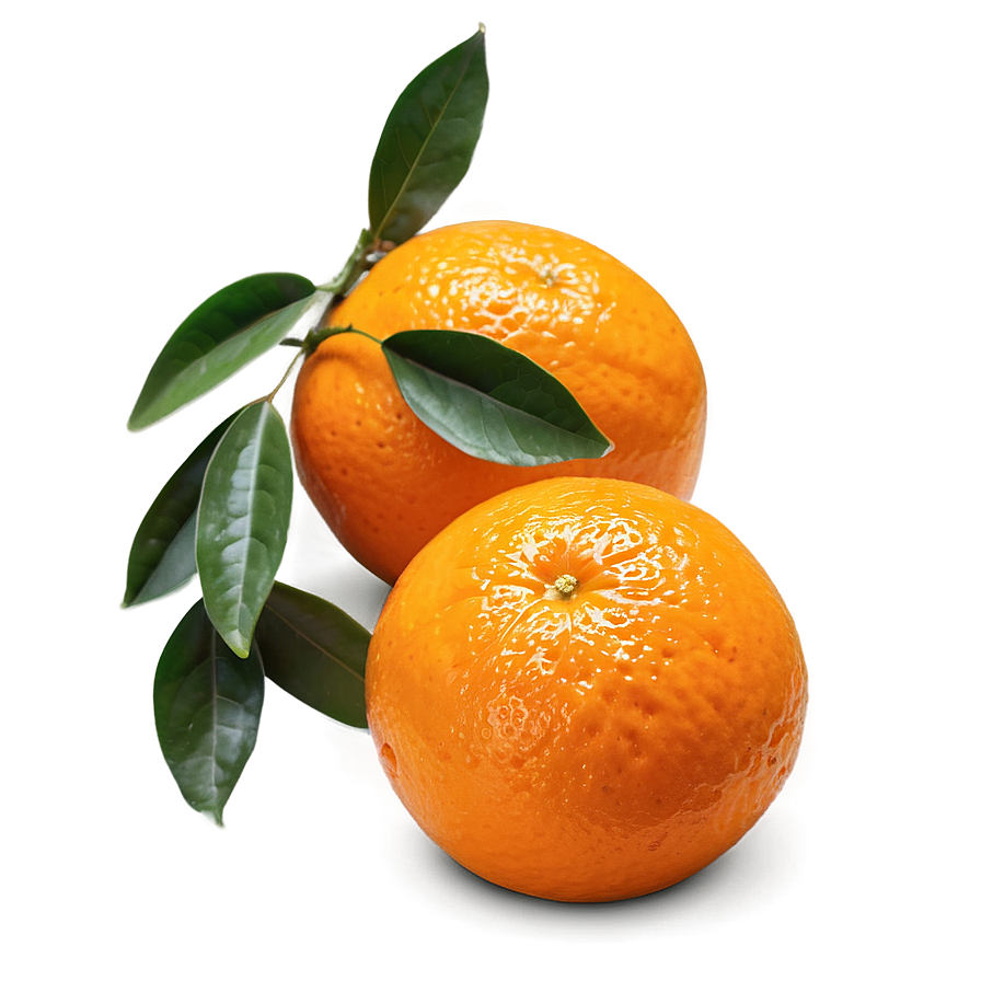 Hand-picked Orange Fruit Png 05032024 PNG