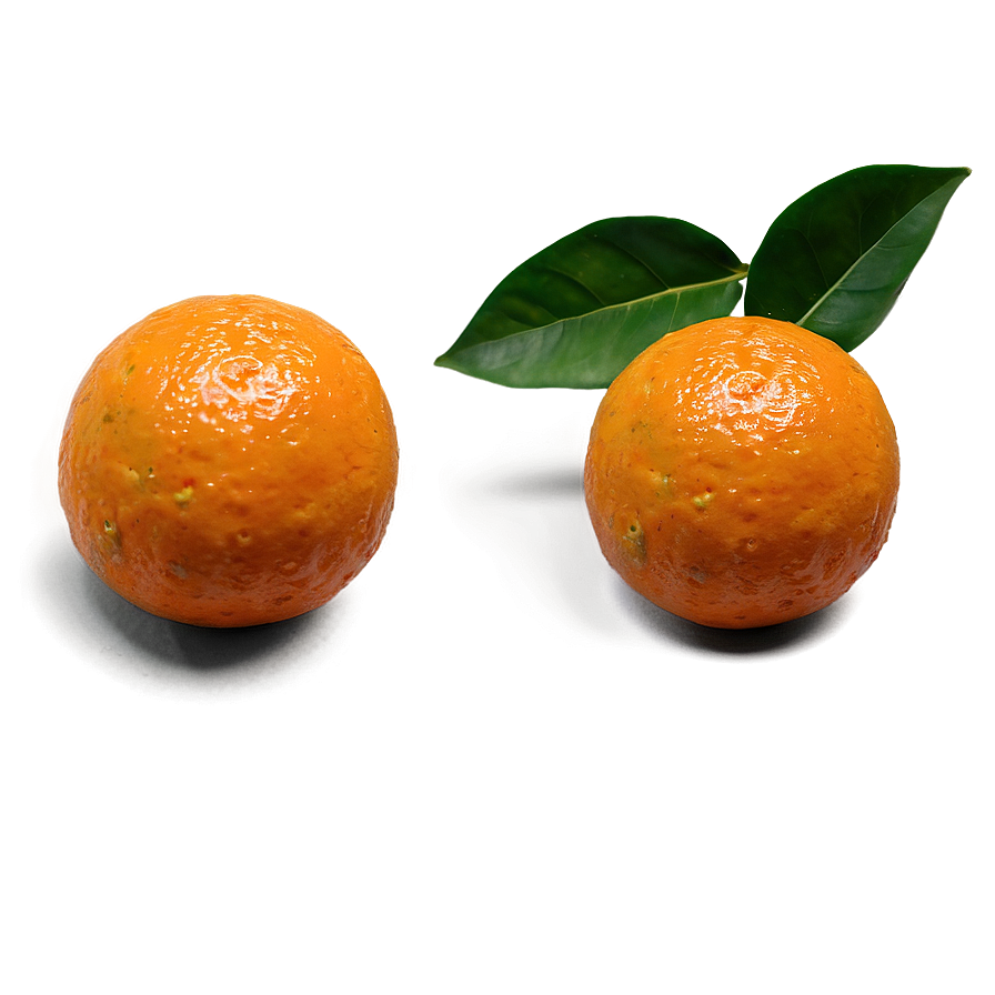 Hand-picked Oranges Png Vty62 PNG