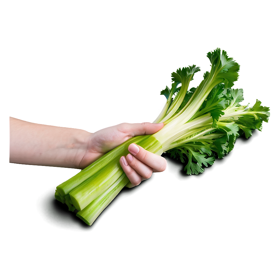 Handful Of Celery Png Skd74 PNG