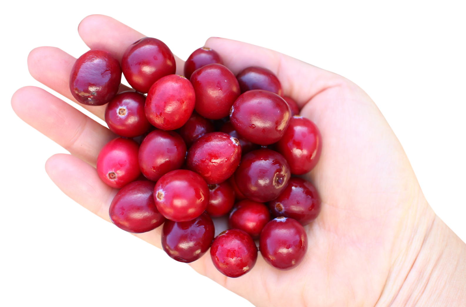 Handfulof Cranberries PNG