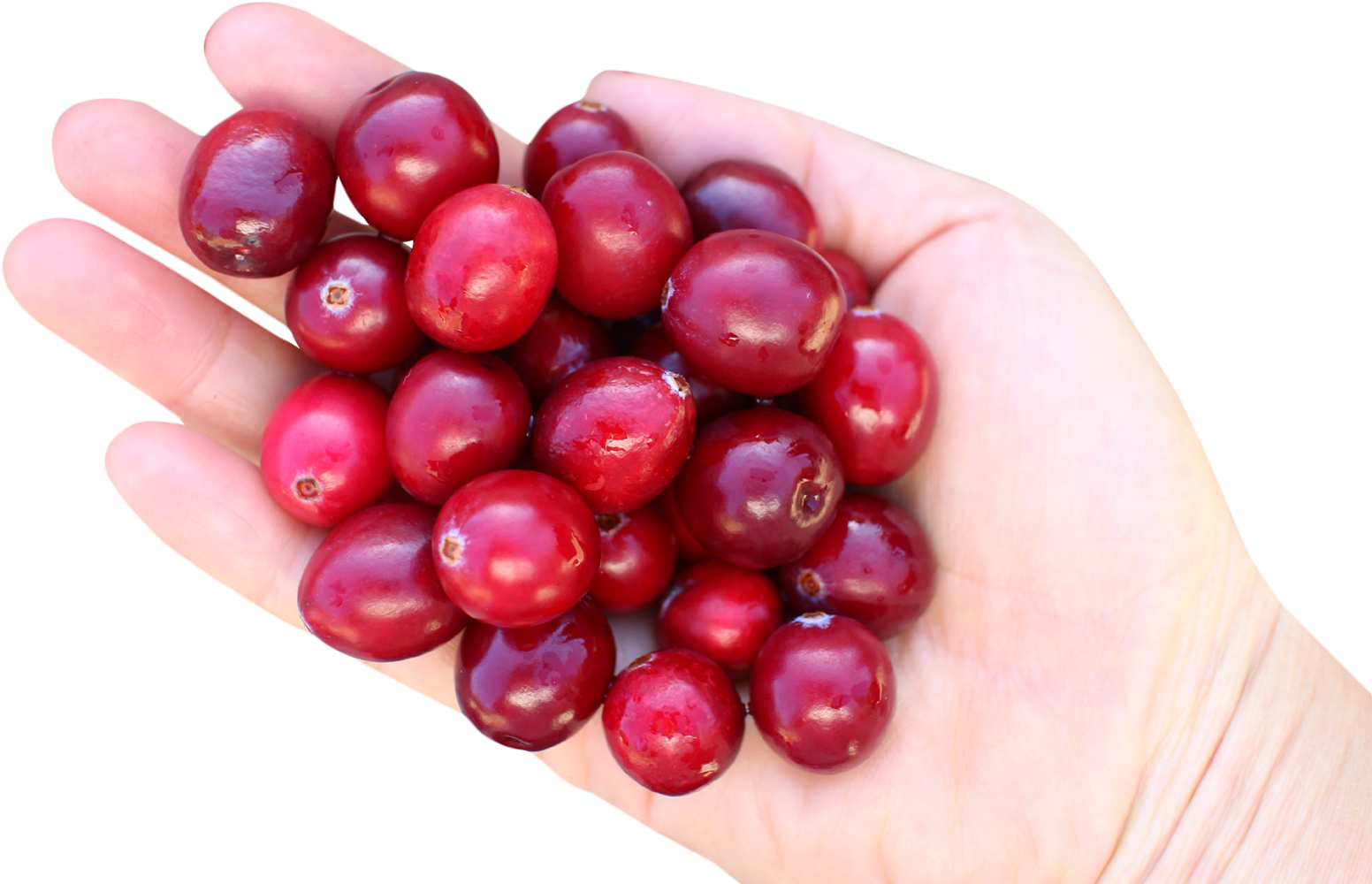 Handfulof Fresh Cranberries PNG